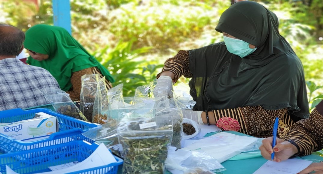 Pelatihan Herbal Dasar Kecamatan Nuha